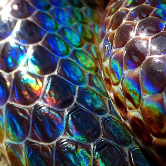 Gucci Exotic Mini Python Leather Bag Vintage Y2K Tom Ford - Picture 12 of 17